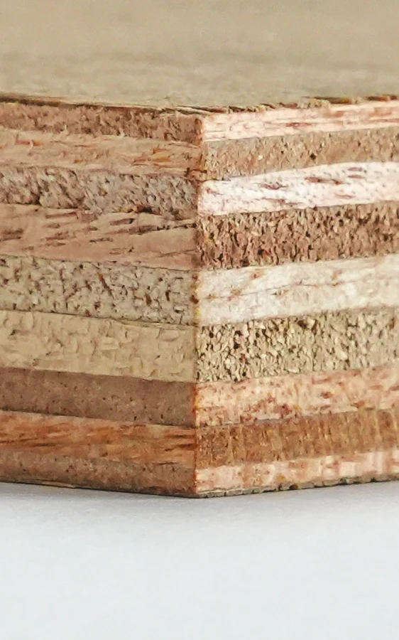 Edge of a BWP plywood board, showing its layers.
